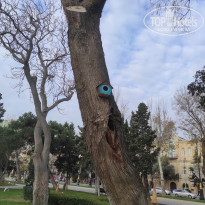 фото из отзыва ID 2664701