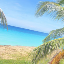 фото из отзыва ID 2665116