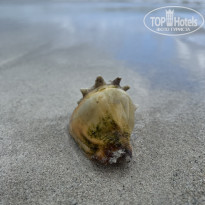 фото из отзыва ID 2665116