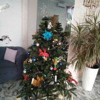 фото из отзыва ID 2665201