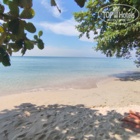 фото из отзыва ID 2665213