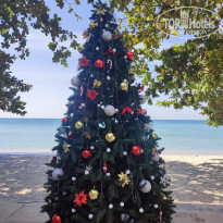 фото из отзыва ID 2665213