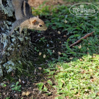 фото из отзыва ID 2665274