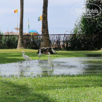 фото из отзыва ID 2665274