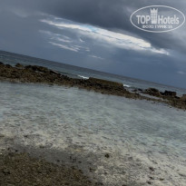 фото из отзыва ID 2665280