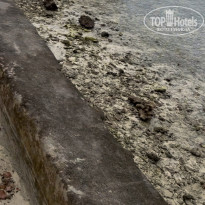 фото из отзыва ID 2665280