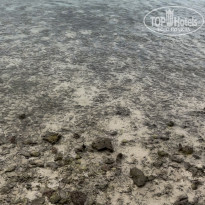 фото из отзыва ID 2665280