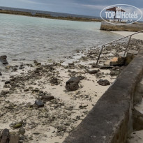 фото из отзыва ID 2665280