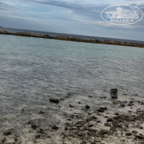 фото из отзыва ID 2665280