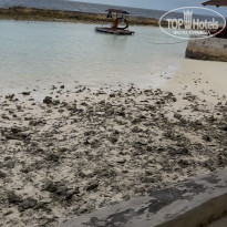 фото из отзыва ID 2665280