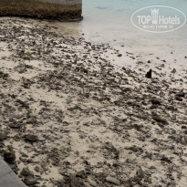 фото из отзыва ID 2665280