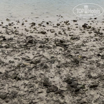 фото из отзыва ID 2665280