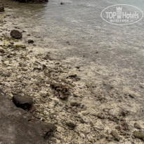 фото из отзыва ID 2665280