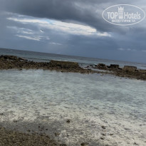 фото из отзыва ID 2665280