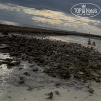 фото из отзыва ID 2665280