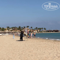 фото из отзыва ID 2663877