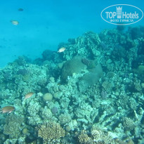 фото из отзыва ID 2665323