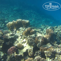 фото из отзыва ID 2665323