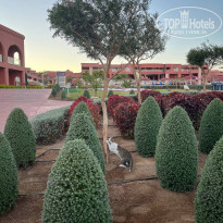 фото из отзыва ID 2665343