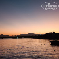 фото из отзыва ID 2665404