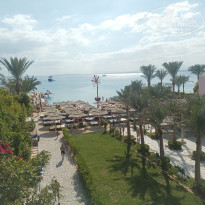 фото из отзыва ID 2665404