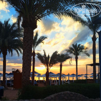 фото из отзыва ID 2665421