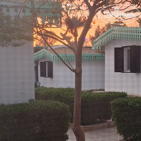 фото из отзыва ID 2665421