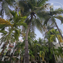 фото из отзыва ID 2665418