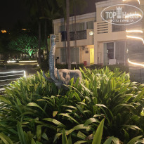 фото из отзыва ID 2665418