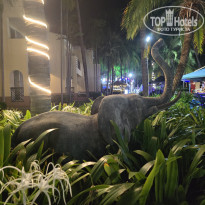 фото из отзыва ID 2665418