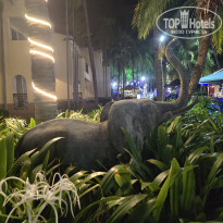 фото из отзыва ID 2665418