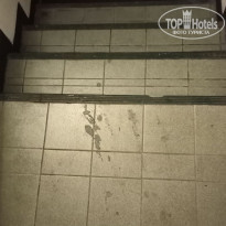 фото из отзыва ID 2665427