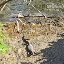 фото из отзыва ID 2665427