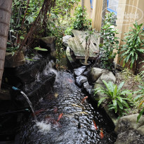 фото из отзыва ID 2665433