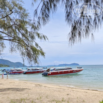 фото из отзыва ID 2665433