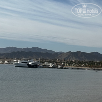 фото из отзыва ID 2665505