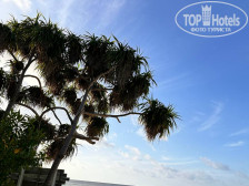 Fins Dive and Leisure Hotel 3*