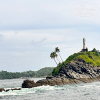 фото из отзыва ID 2665529