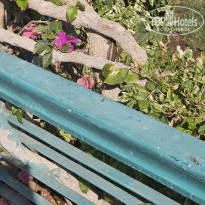 фото из отзыва ID 2665534