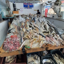 фото из отзыва ID 2665540