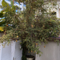 фото из отзыва ID 2665536