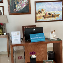 фото из отзыва ID 2665573