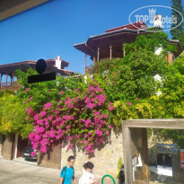 фото из отзыва ID 2665584