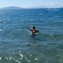 фото из отзыва ID 2665584