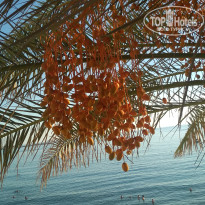 фото из отзыва ID 2665595