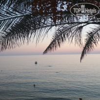 фото из отзыва ID 2665595