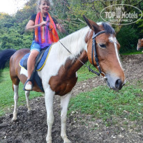 фото из отзыва ID 2665596