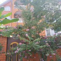 фото из отзыва ID 2665596