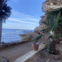 фото из отзыва ID 2665603