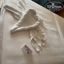 фото из отзыва ID 2665555